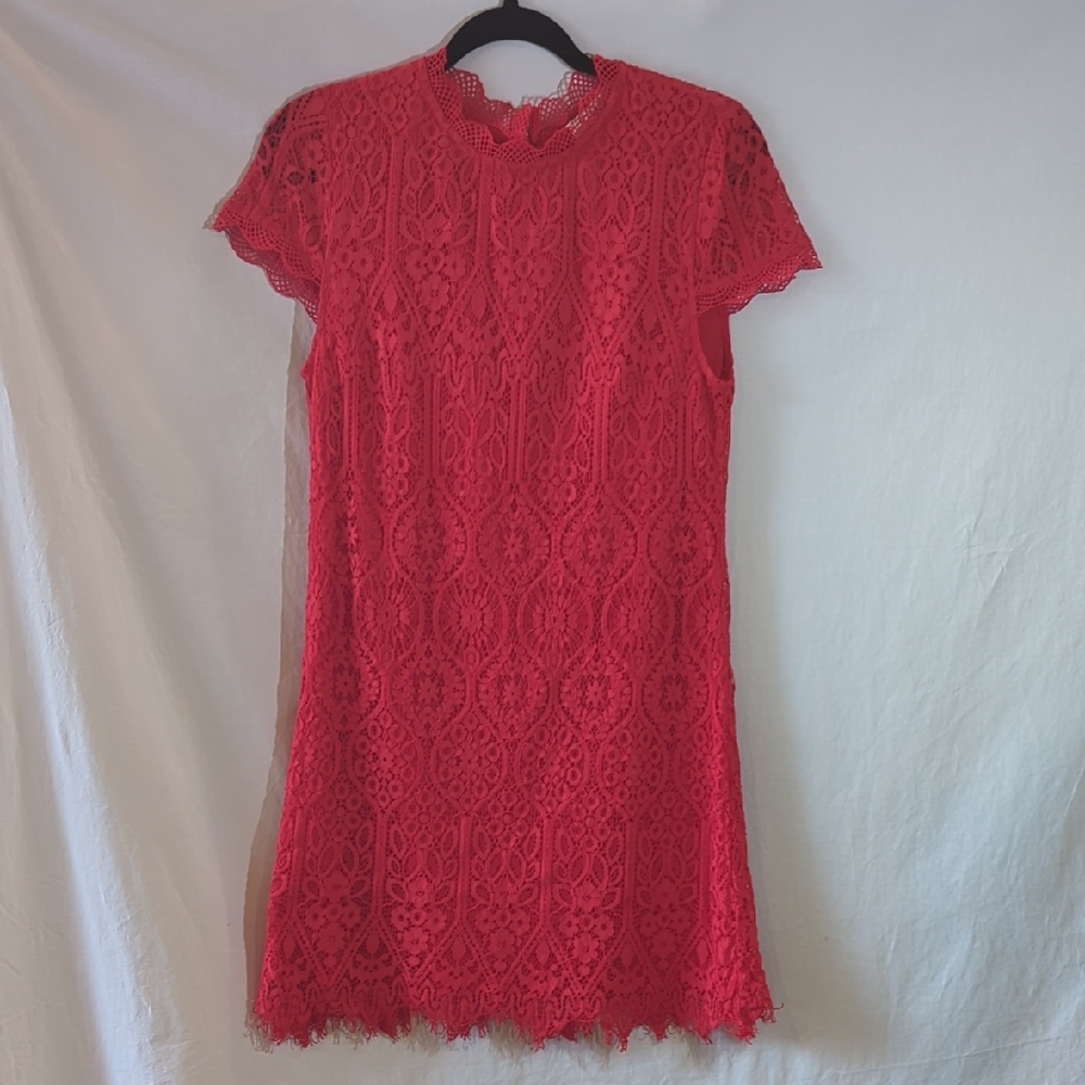 Francesca's Collections S Vibrant Red Lace Mini Dress